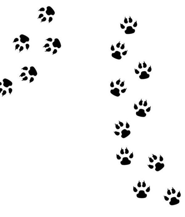 Vægklistermærker paw dyrespor sort, 15 stk.