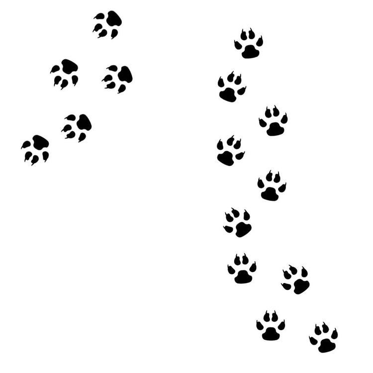 Vægklistermærker paw dyrespor sort, 15 stk.