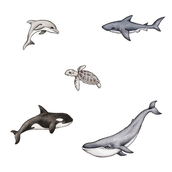 Ocean venner vægklistermærker, Stickstay - Billede 2