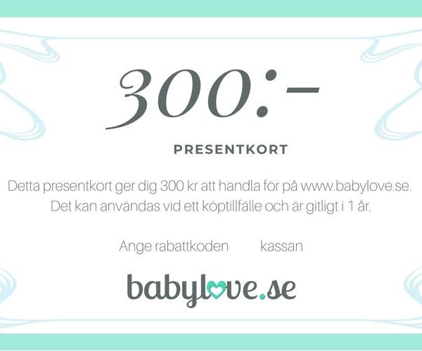 Gavekort 300 kr