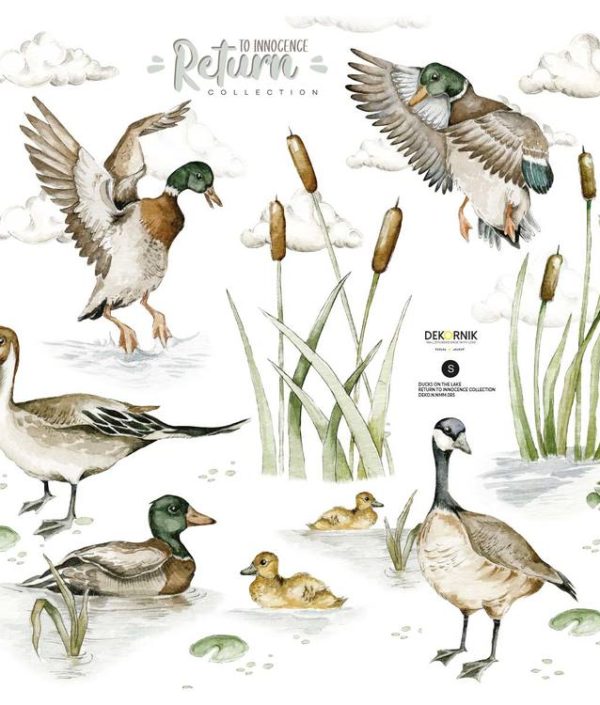 Dekornik, vægklistermærker Ducks on the Lake