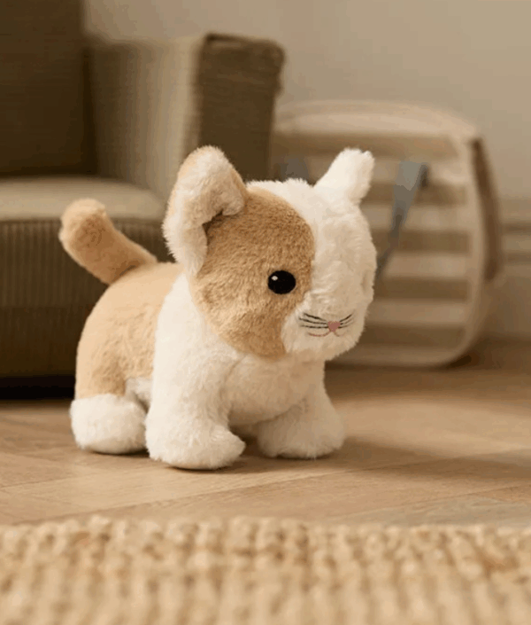 Kid`s Concept, Kat med taske